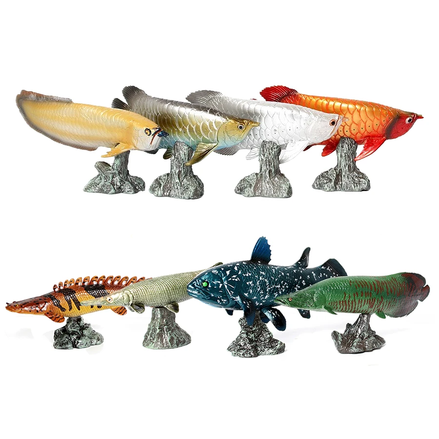 Kids Toys Reviews - Arowana Pirarucu Coelacanth Bichir Model Ryby
