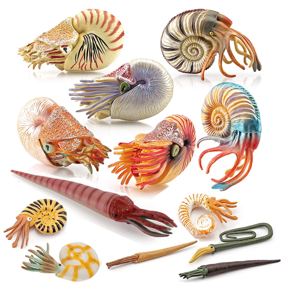 Kids Toys Reviews - Figurki zwierząt morskich, Nautilus, Cameroceras, Amonity,