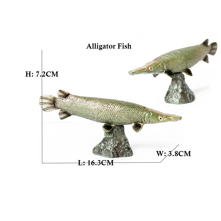 Arowana Pirarucu Coelacanth Bi – Kids Toys Reviews recenzja i cena
